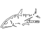 SWC Bone Application Sticker - Accessories